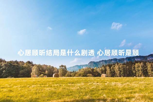 心居顾昕结局是什么剧透 心居顾昕是顾家的儿子吗